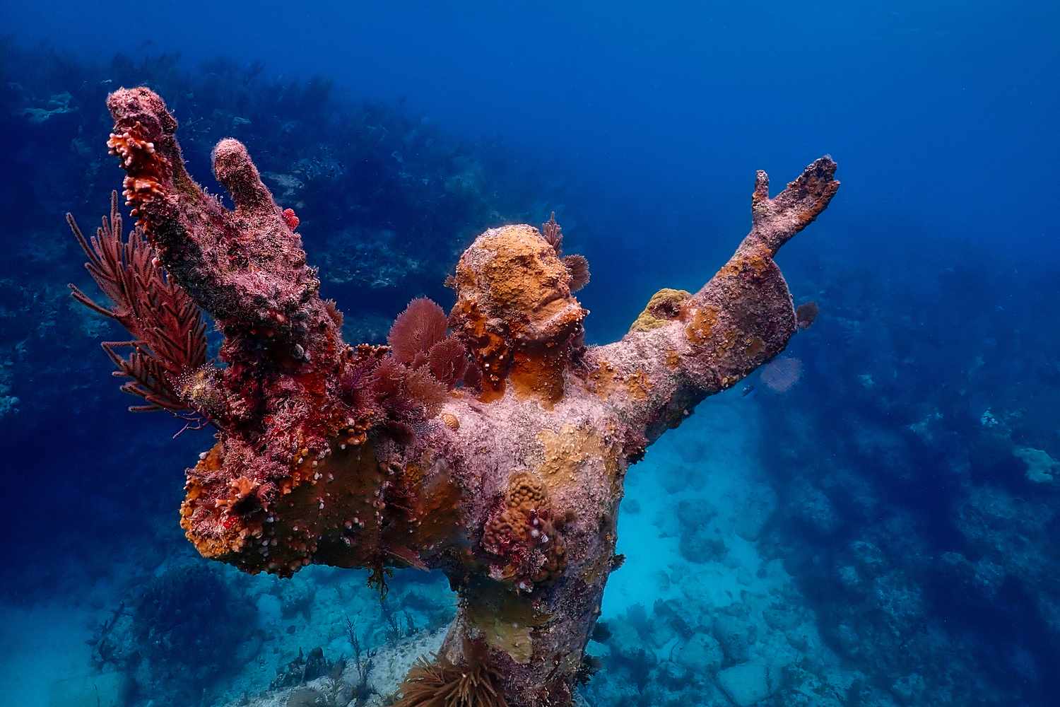 America's first underwater park — snorkel coral reefs and shipwrecks